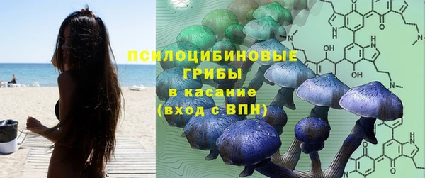 хмурый Слюдянка