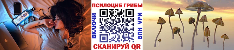 Псилоцибиновые грибы ЛСД  купить  сайты  Чита 
